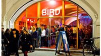 Bird Rotterdam