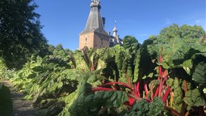 Vaartocht de Blauwe Bever & moestuin rondleiding