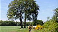 Drentse Wandel 4-daagse