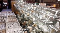 Mineralen- en fossielenbeurs