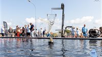 Yerseke at Sea
