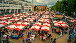 Nederlandse Grootste Curiosa- Antiekmarkt