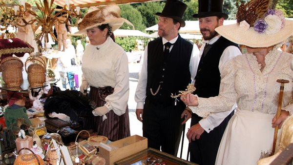 Curiosa Antiek en Brocante Markt Diepenheim