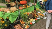 Streekproductenmarkt Ewsum