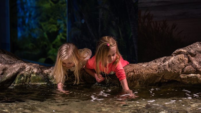Zee Aquarium Bergen aan Zee in Bergen aan Zee, Noord-Holland