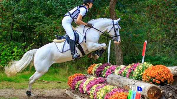 Eventing Norg