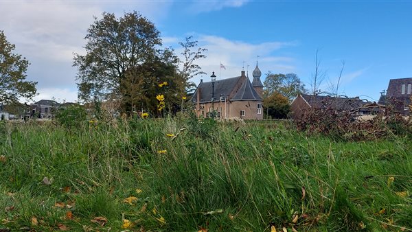 Voorjaarskoopzondag Coevorden