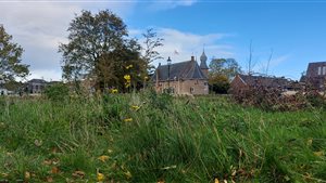 Voorjaarskoopzondag Coevorden