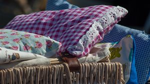 Zomerfair Five