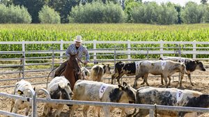 Muziek- en kidsevent Fun aon de Run