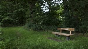 Verhalen- en natuurwandeling langs het Amerdiepje
