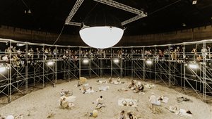 O Festival for Opera Music Theatre