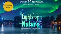 Winter Dolfinarium - Lights of Nature