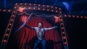 Internationaal kwaliteitscircus in Zaltbommel