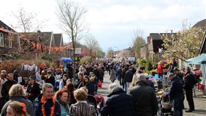 Vrijmarkt Van Haeringenstraat in Dedemsvaart