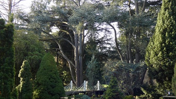 Trompenburg Tuinen & Arboretum