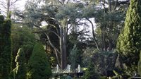 Trompenburg Tuinen & Arboretum