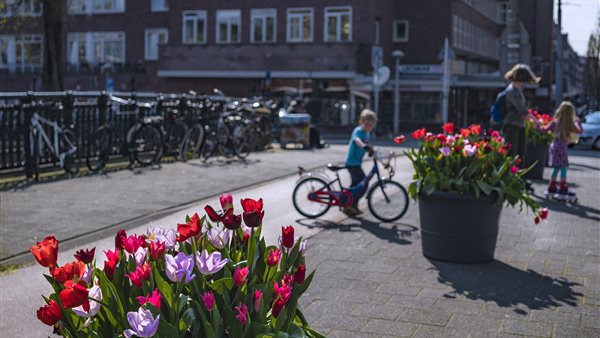 Tulp Festival Amsterdam