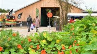 Oogstdag op De Kruidhof