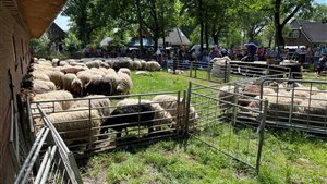 Schaapscheerdersfeest en Exeler-Fair