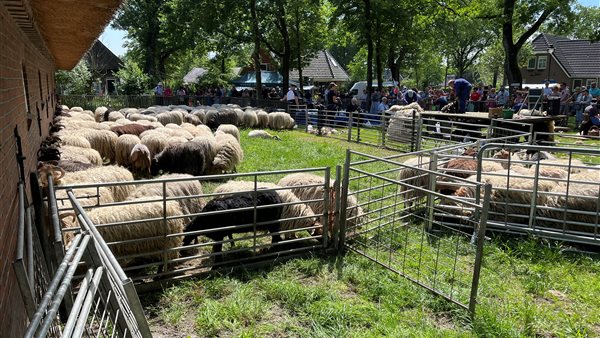 Schaapscheerdersfeest en Exeler-Fair