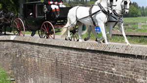 Pinksterrit Borkel en Schaft