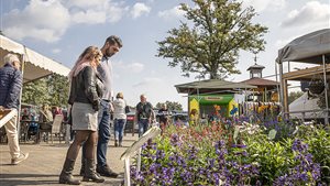 Weerselose Markt - Hemelvaartsdag