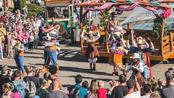 Magic Spring Festival