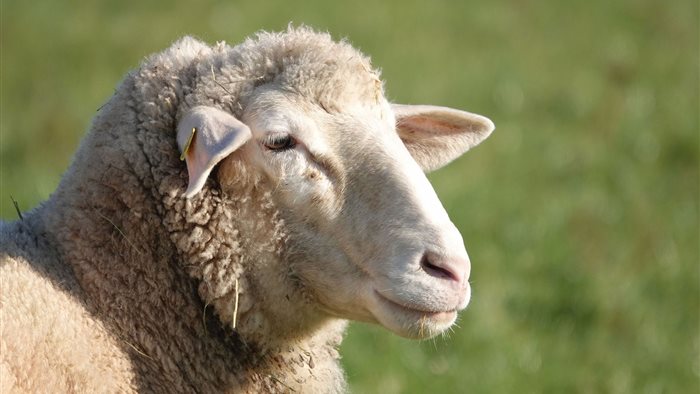 Kinderboerderij Hagerhof in Venlo, Limburg