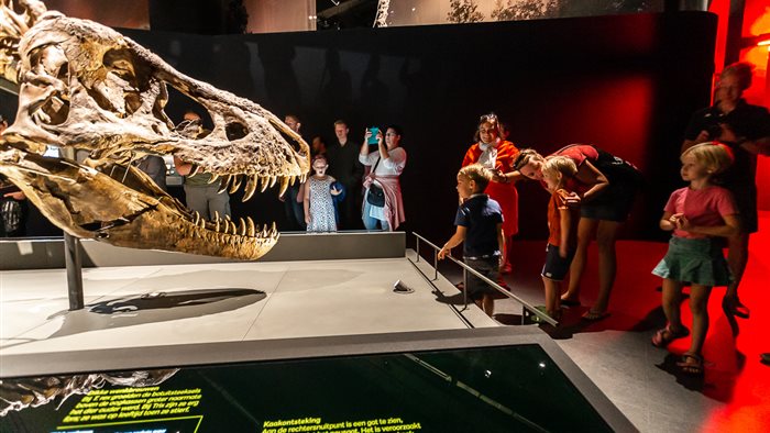 Naturalis Biodiversity Center in Leiden, Zuid-Holland