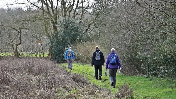 12e Weideblik Intersport Bols Wandetocht