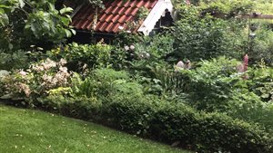 Open weekend Vechtdaltuinen