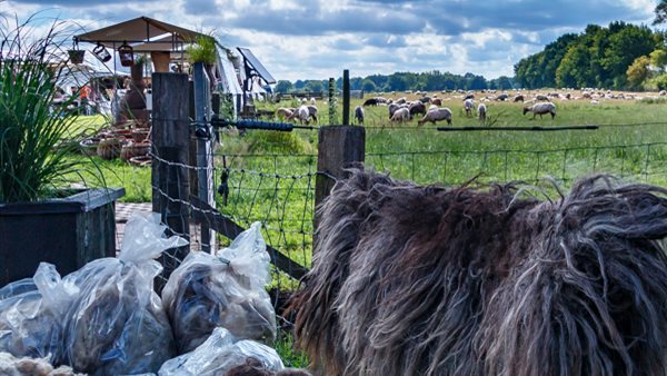 Verrassend er op uit in Nederland - Uitzinnig.nl