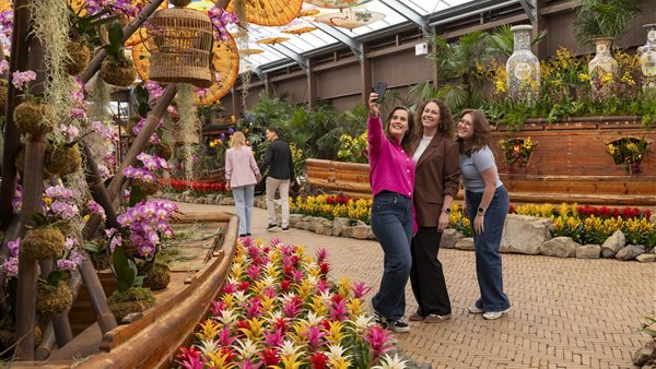 Bloemenfestival River of Dreams in Pantropica