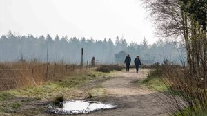 Taribush Lente Wandelfestival - Wandelmarathon