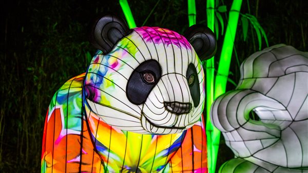 Light Nights in Ouwehands Dierenpark