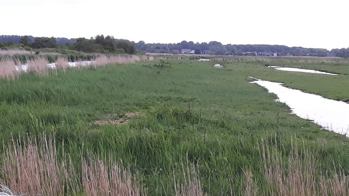 Vaarexcursie in Oostzaan, Noord-Holland