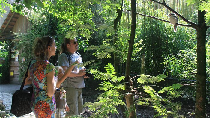 Dierenpark Taman Indonesia in Kallenkote, Overijssel