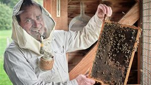 Met de imker naar de bijenstal