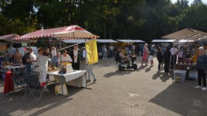 Honing-Natuur- en Hobbymarkt