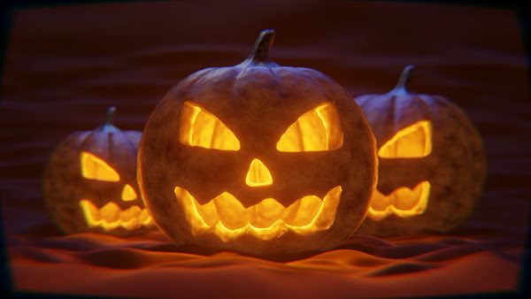 Halloween Lichtjes Markt - Halloween Dieren