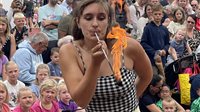 Vestingfeest Circus Festival