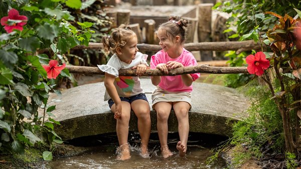 Vier de zomer in Pantropica