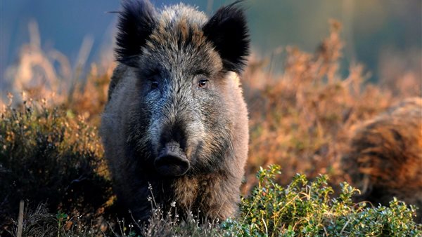 Feestelijk onthaal voor 500.000e bezoeker