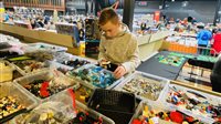 Zomer-Bricks