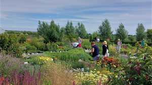 Open weekend 'De Mooiste Tuinen van N-Holland-Nrd