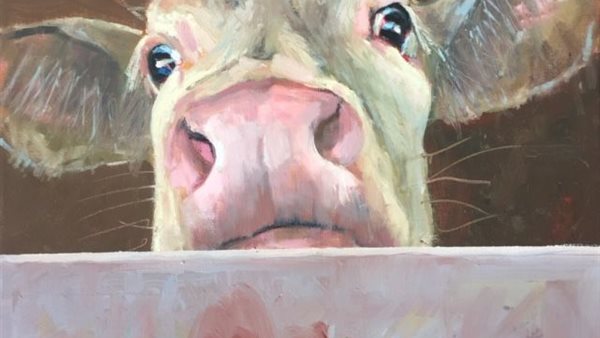 Atelierroute Hoge Noorden