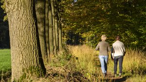 WF Herfstwandeltochten