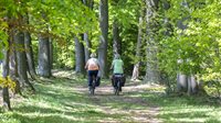 Dauwtrappen tijdens WF Naobertochten