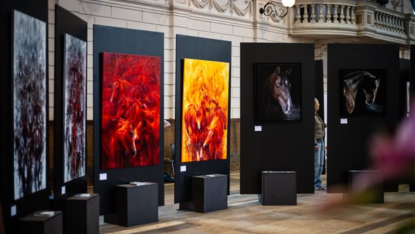 Dutch Equine Art Fair